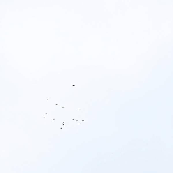 플라이레이디 방식 청소로 혁신하세요! 깨끗함의 새로운 기준을 제시하는 방법